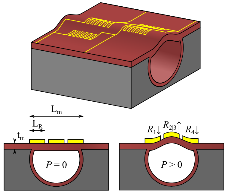 Figure 1: Design of a resistive pressure sensor. Gold strain gauges are placed on top of a channel roof. When under pressure the strain gauges are elongated and compressed changing their resistance.
